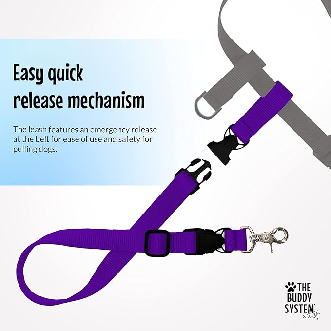 The Buddy System Hands Free Dog Leash, Adjustable Leash for Running, Jogging, Training and Service Dogs, Great for Small, Medium and Large Dogs, Made in USA (Purple, Regular Belt (22"- 40" Waist))