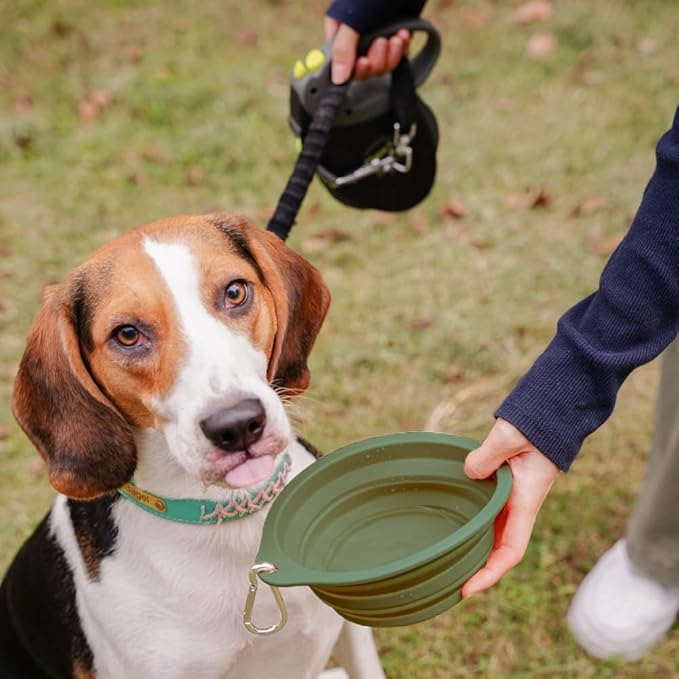 CHICHIPAWS Collapsible Pet Bowls, Portable Dog and Cat Dishes, 2 Pack Collapsible Water Bowls, Portable Pet Feeding Dish for Walking, Parking, Traveling, Camping with Carabiners (600ml)
