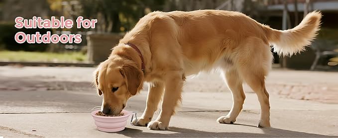 2-Pack,LeeRound Large Breed Collapsible Dog Bowls Meet Needs in Different Scenarios, Food-Grade Silicone Bowls, Portable Dog Travel Bowls with Hook, Indoors &Outdoors Feeding Kits,Pet Essentials