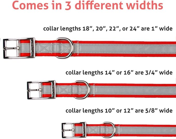 GoTags Embroidered Reflective Dog Collars with Metal Buckle, Personalized Dog Collar Custom Embroidered with Pet Name and Phone Number, Sizes for Puppy and Dogs Extra Small, to Medium and Large