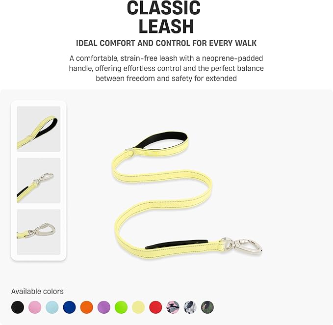 DF Co. Classic Dog Leash | Strain-Free, Shock Resistant, Prevents Jolts, Maintain Control | Durable Waterproof Material with Heavy Duty Clip & D-Ring | Black, Size Small