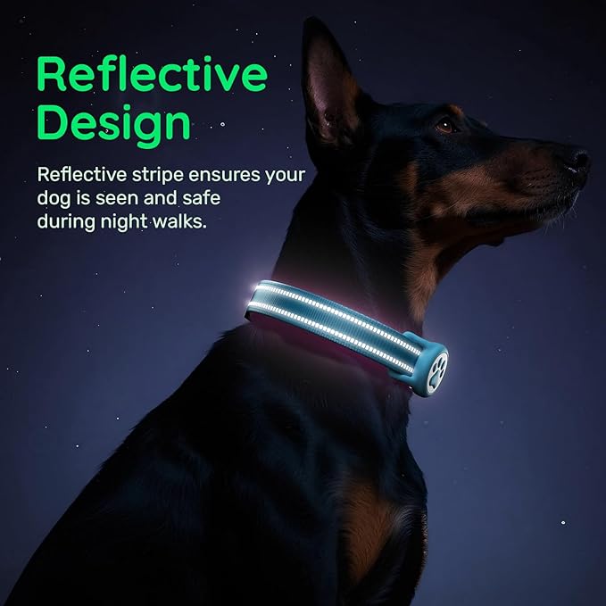 Airtag Dog Collar, Reflective Ultra-Durable Nylon Padded with QR Code Buckle & IP68 Waterproof Air Tag Holder Compatible for Apple AirTag, Comfortable for Small Medium Large Dogs(Blue,M)
