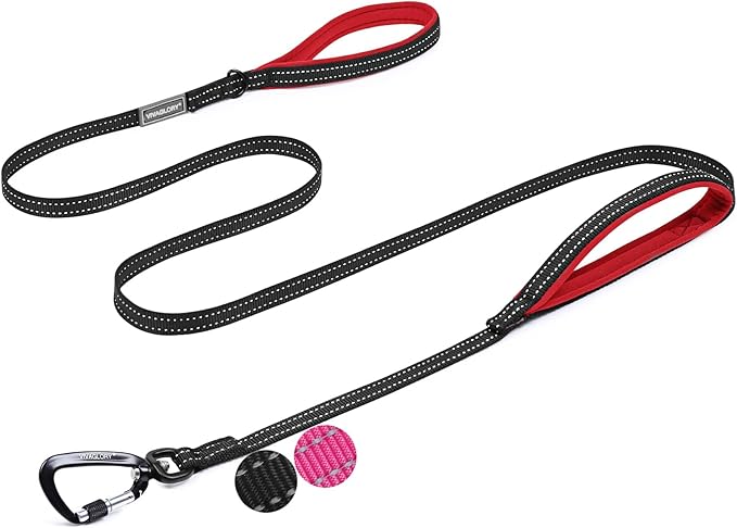 VIVAGLORY Dog Leash Lighthook Double Handle Dog Leash with Traffic Handle & Locking Carabiner for Walking & Training, Traffic Control Lightweight Carabiner for Puppy Pet, 5ft x 1/2in, Black