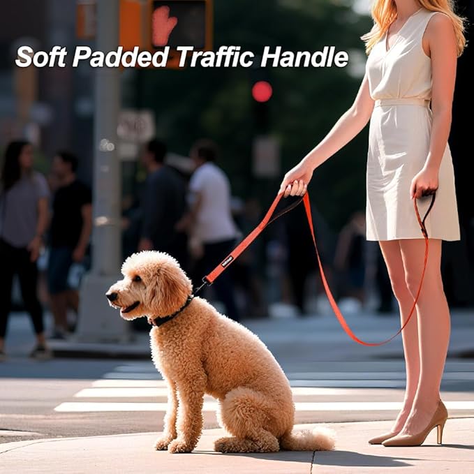 Heavy Duty Double Handle Dog Leash 6 ft Long for Total Control, Padded 2 Handle, Reflective Training Lead for Medium Large Dogs (Orange, 6 FT)