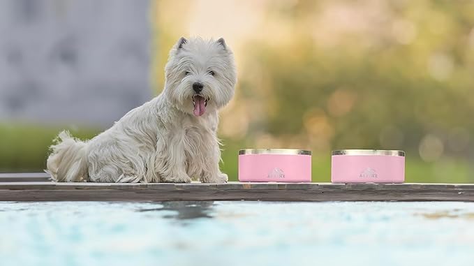 ALPINE Set of 2 Stainless Steel Dog Bowls, Non Slip, Metal Pet Bowl for Food and Water, Double Walled Insulated, Rustproof, Dishwasher Safe (64 oz, Sky Blue)