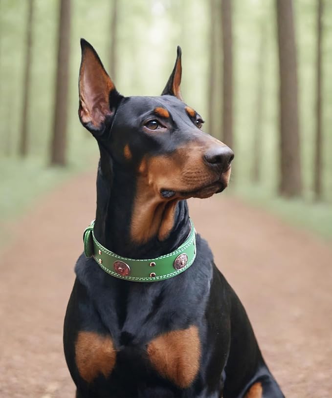 Leather Dog Collar, 2 inches Wide Heavy Duty Genuine Leather Collars, Handmade, Soft, and Luxury, Eye-catching Best Choice for Large and Medium Breed Dogs, Green,15-19 ins