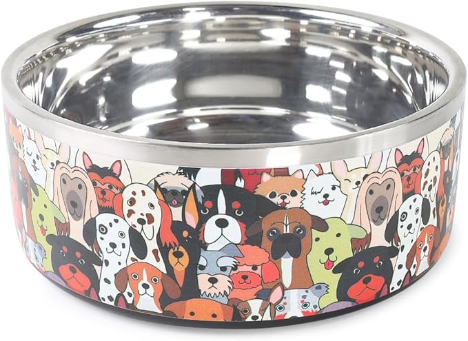 Selly's Den Pawdience Double Walled Stainless Steel Bowl, Non-Slip, Food & Water Dish (62 Oz, 7.75 Cups)