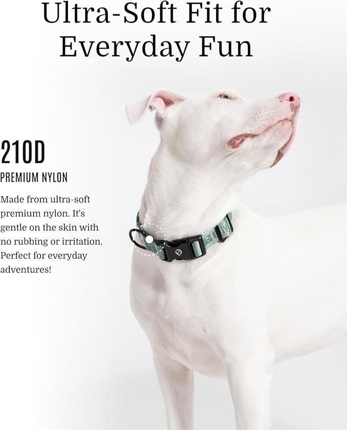 2026 New Edition, Fei & Eve Classic Dog Collar - Quick Release Metal Buckles | Fur-Safe | Premium 210D Nylon | 450LB Escape-Proof | Adjustable Fit | Large (Glacier Green)