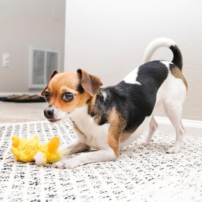 KONG Low Stuffing with Squeaker Dog Toy, X-Small, 3 Animals, Bear, Duck, Frog