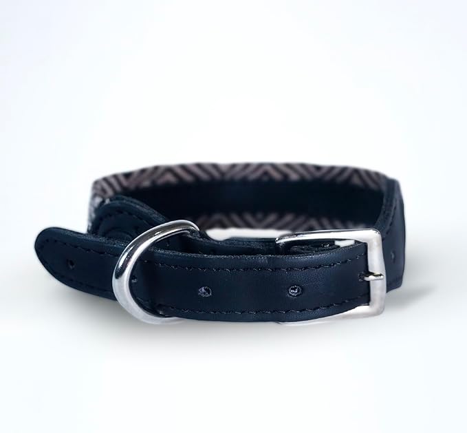 Eternia Premium Leather Dog Collar - Adjustable Handcrafted Collar for Small to Large Dogs (Black/White, M)