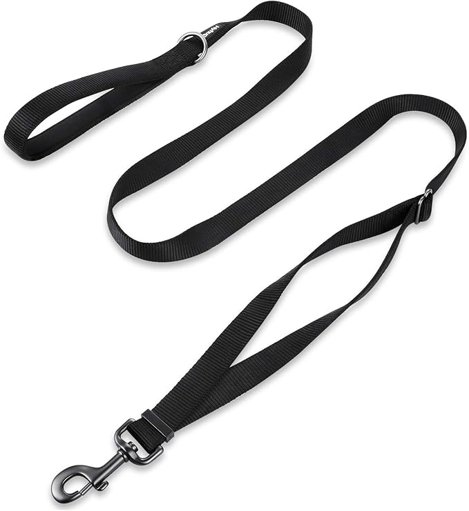 Hyhug Nylon Adjustable 4-6ft Dog Leash with Soft Neoprene Padded Handle, Durable Heavy Duty Leash with Easy-to-Use Bolt Snap, Ideal for Jogging Outdoor