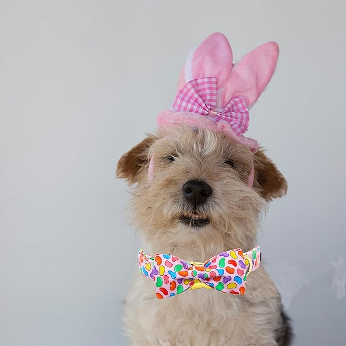 Elegant little tail Easter Dog Collar, Colorful Candy Print Dog Collar with Bow Puppy Collars Boy Pet Gift Puppy Bowtie Adjustable Pet Collars for Large Dogs