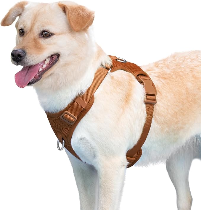 No Pull Dog Harness for Small Medium Large Dogs - Adjustable 2 Layer Mesh Dog Vest with Dual Clip, Escape Proof, Quick Release, Lightweight Breathable Mesh for Walking Hiking (Carmel Brown,XL)