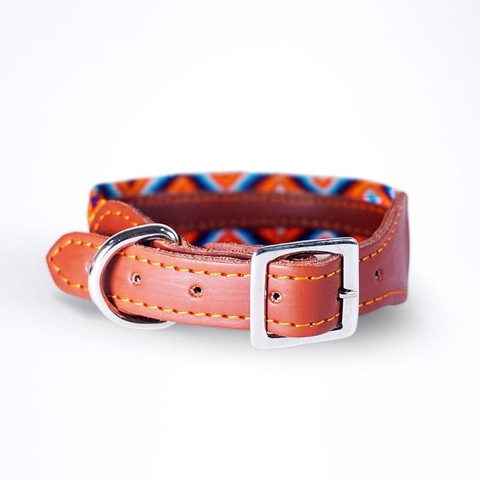 Eternia Premium Leather Dog Collar - Adjustable Handcrafted Collar for Small to Large Dogs (Orange/Blue, M)
