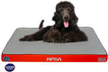 NASA Limited Edition Dog Bed by Wag | Extra Large, Astro Orange
