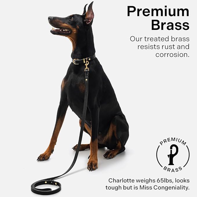 Scout Supply Classic Leather Dog Leash | Strong Heavy Duty Thick Full Grain Leather | Waterproof & Rust-Proof Brass Hardware (Black, M: 4.5 ft x 1/2 in)