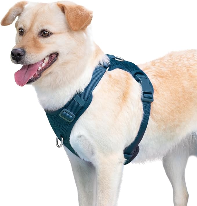 No Pull Dog Harness for Small Medium Large Dogs - Adjustable 2 Layer Mesh Dog Vest with Dual Clip, Escape Proof, Quick Release, Lightweight Breathable Mesh for Walking Hiking (Prussian Blue,L)