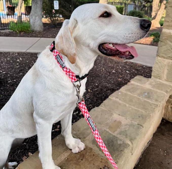 Lucky Love Dog - Adjustable Dog Collar with Easy Click Buckle for Small Dogs, Durable, & Comfortable for Male & Female Dogs, Pet Collar for Puppies & Adult Dogs - Bailey, Small