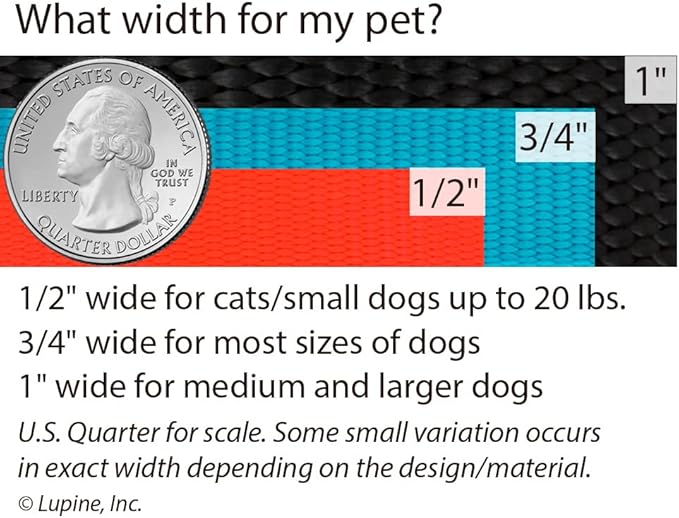 Lupine Dog Leash 4-Foot by 1" Wide PetuniasÊ