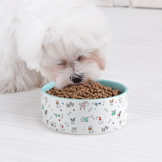 FE FUN ELEMENTS Ceramic Dog Bowls for Small Dogs, 16 Fl Oz Heavy Food and Water Bowl With Adorable Patterns (Small, Blue)