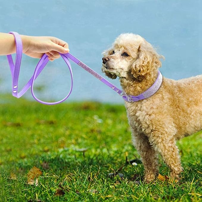Cute Dazzling Sparkling Elegant Fancy Soft Suede Leather Bling Rhinestone Crystal Jeweled Pet Cat Dog Puppy Collar Dog Leash Combo Set (M(Neck 12.5-15"), Purple-5)