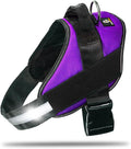 Non Pull Dog Harness with Patch Panels and Handle, Adjustable, Reflective, No Choke, Heavy Duty Easy On Service Dog Vest Harnesses for Medium Large Small Sized Dogs - Purple, L