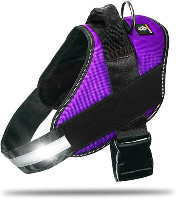 Non Pull Dog Harness with Patch Panels and Handle, Adjustable, Reflective, No Choke, Heavy Duty Easy On Service Dog Vest Harnesses for Medium Large Small Sized Dogs - Purple, XS
