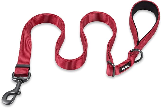 Hyhug Nylon Adjustable 4-6ft Dog Leash with Soft Neoprene Padded Handle, Durable Heavy Duty Leash with Easy-to-Use Bolt Snap, Ideal for Jogging Outdoor