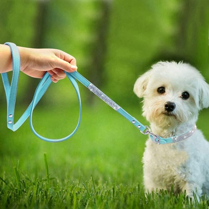 Cute Dazzling Sparkling Elegant Fancy Soft Suede Leather Bling Rhinestone Crystal Jeweled Pet Cat Dog Puppy Collar Dog Leash Combo Set (S(Neck 10-12.5"), Light Blue)