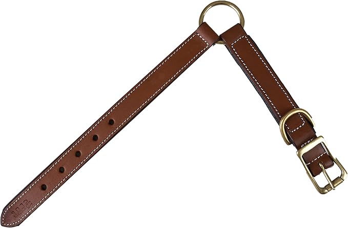 | Genuine Leather Adventure Dog Collar | Full Grain, Heavy Duty | With inner Cushioned padding | Best for Medium, Large & XL Dog (Medium (Fit Neck Size 14.5"-18.5"), Brown With Center O Ring)