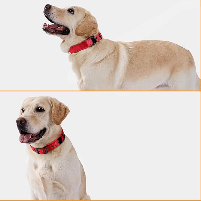 Annchwool Adjustable Dog Collar and 5 FT Leash Set with Heavy Duty Metal Buckle–Comfortable Lining Reflective Collar & Dual-Handles for Small Medium Large Dogs Walking,Running(Red Set,M:17''-23'')