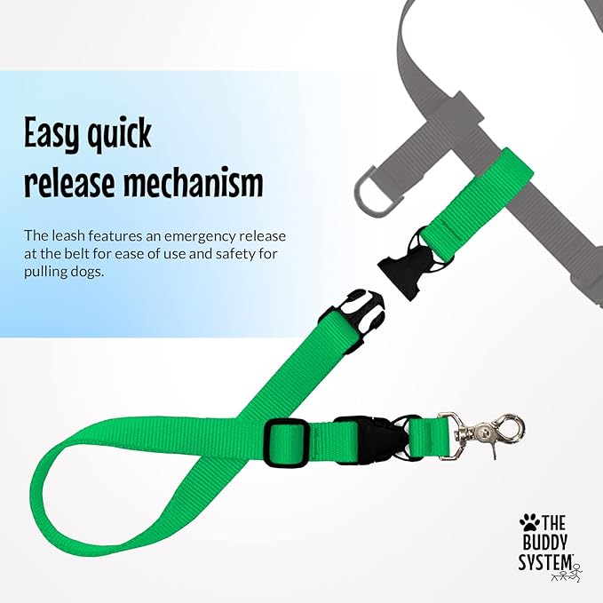 The Buddy System Hands Free Dog Leash, Adjustable Leash for Running, Jogging, Training and Service Dogs, Great for Small, Medium and Large Dogs, Made in USA (Green, Large Belt (27"- 50" Waist))