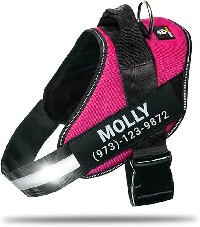 Personalized No-Pull Dog Harness with Name Patch, Adjustable, Reflective, Padded, Heavy Duty Pet Vest to Prevent Tugging, Pulling, or Choking, Training and Walking, Rose Red, S
