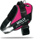 Personalized No-Pull Dog Harness with Name Patch, Adjustable, Reflective, Padded, Heavy Duty Pet Vest to Prevent Tugging, Pulling, or Choking, Training and Walking, Rose Red, S