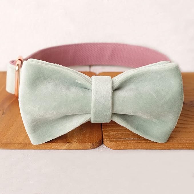 PETDURO Custom Dog Collar Personalized with Name Engraved Quick Release Rose Gold Metal Buckle for Large Medium Small Girl Dogs - Dog Leash and Bow Tie Available - Soft Comfy Velvet (Mint Pink, XS)