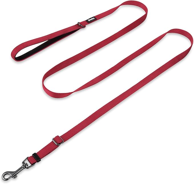 Hyhug Nylon Adjustable 4-6ft Dog Leash with Soft Neoprene Padded Handle, Durable Heavy Duty Leash with Easy-to-Use Bolt Snap, Ideal for Jogging Outdoor