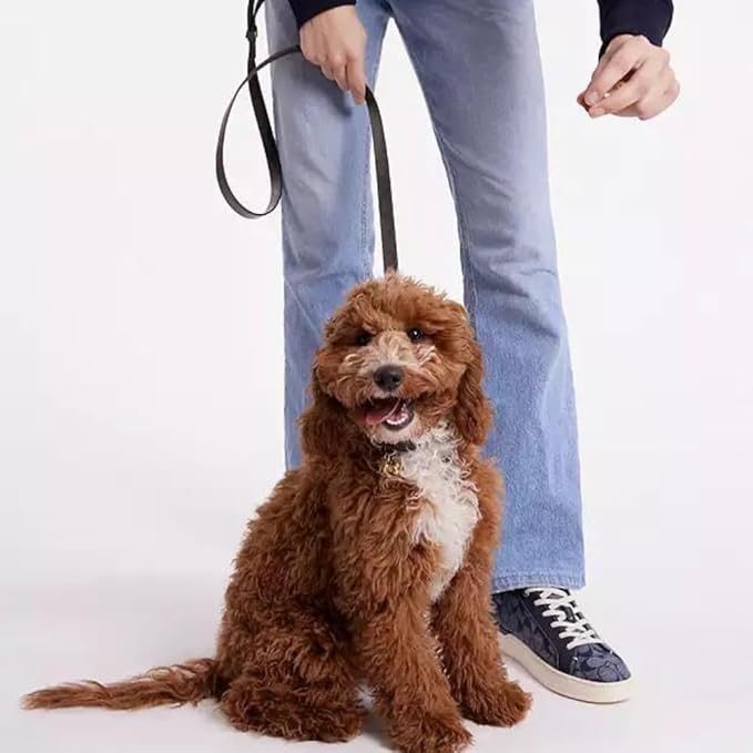 8 FT Multi-Function Leather Dog Leash, Genuine Leather Hands-Free Training Lead for Small Medium Large Dogs, Adjustable Long Leash for Walking, Hiking, Obedience Control (Dark Brown, 8 Ft)
