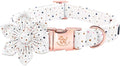 Elegant little tail Dog Collar, Dog Collar with Flower, Boy Girl Dot Cute Pet Collar Flower Dog Collars Adjustable Dog Collar for Medium Dogs