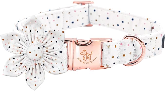 Elegant Little Tail Dot Cute Pet Collar with Flower - Adjustable for Small Dogs