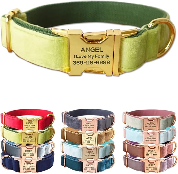 PETDURO Custom Dog Collar Personalized with Name Engraved Quick Release Rose Gold Metal Buckle for Large Medium Small Girl Dogs - Dog Leash and Bow Tie Available - Soft Comfy Velvet (Mint Green, L)