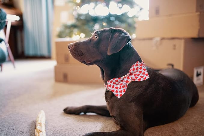 DOGWONG Valentine's Dog Collar with Bowtie - Red Heart Adjustable Cotton Heart Dog Collar - Perfect for Small, Medium, Large Dogs