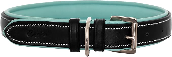 Exion Geniun Leather Dog Collar Designer Stitched Soft Leather Padded- Suitable for Small Medium Large X-Large Dogs for Walking Running- Black with Sky Blue Padding