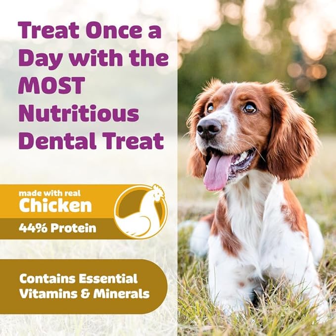 Longevity15 C15:0 Dog Health Supplement (30-Day Supply) & Yummy Combs Dog Dental Treats (8oz Bag) for Extra Small Dogs – C15:0 Fatty Acid for Daily Wellness, Food Topper – VOHC Approved Oral Care