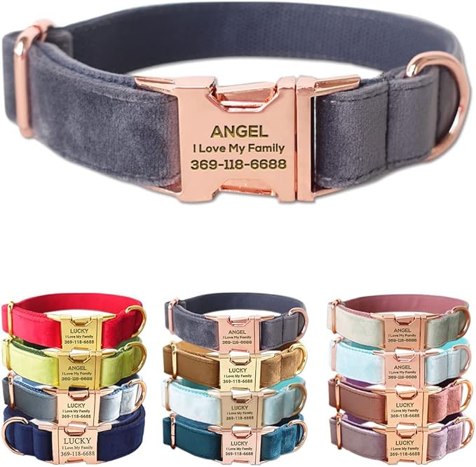 PETDURO Custom Dog Collar Personalized with Name Engraved Quick Release Rose Gold Metal Buckle for Large Medium Small Girl Dogs - Dog Leash and Bow Tie Available - Soft Comfy Velvet (Grey, XS)