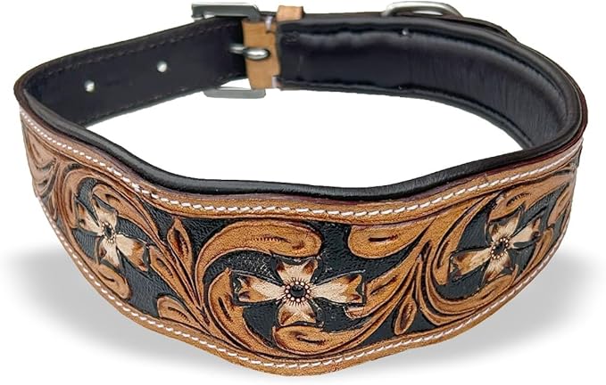 Majestic Ally Leather Dog Collar with Adjustable, Padded Fit for Walking, Hiking, and Running, Designer Western Wear for Puppies, Fancy Colors (Black - Natural, Medium)
