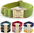 PETDURO Custom Dog Collar Personalized with Name Engraved Quick Release Rose Gold Metal Buckle for Large Medium Small Girl Dogs - Dog Leash and Bow Tie Available - Soft Comfy Velvet (Green, XS)