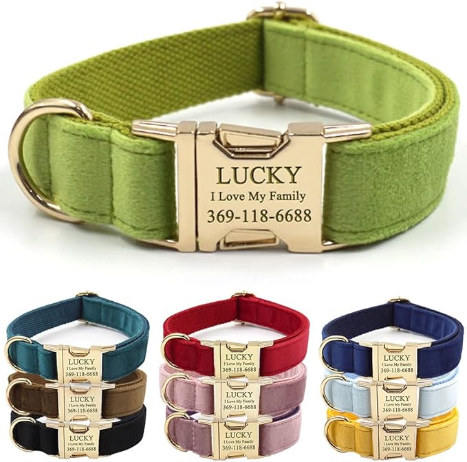 PETDURO Custom Dog Collar Personalized with Name Engraved Quick Release Rose Gold Metal Buckle for Large Medium Small Girl Dogs - Dog Leash and Bow Tie Available - Soft Comfy Velvet (Green, M)