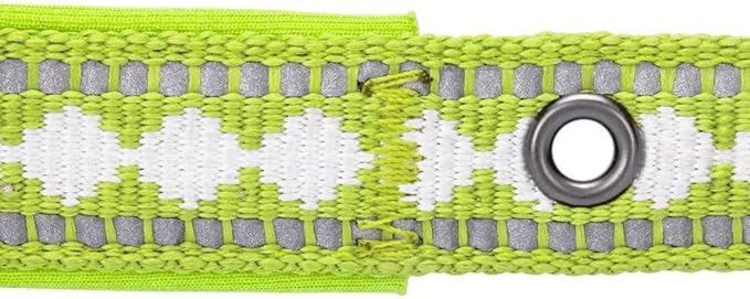 Blueberry Pet Reflective Jacquard Dog Collar with Neoprene Padding & Metal Buckle | Soft & Adjustable Safety Collar - Macaw Green, Neck 17-20.5", for Large Breed