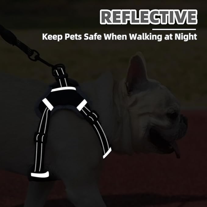 PUPTECK No Pull Dog Harness Small Sized Dog, Adjustable Reflective Escape Proof Easy Control, Comfortable Soft Padded Step in Pet Vest Harness, Black, XS
