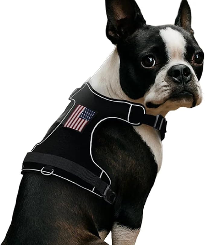 PawPatch Track Dog Harness, Medium – No Pull Adjustable Fit Pet Vest, Breathable Soft Padded with 2 Leash Clips, Reflective, Easy On/Off Design with Control Handle for Walking, Training, Hiking